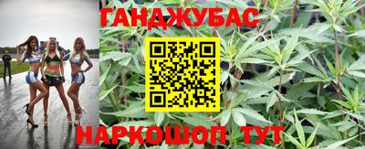 apvp Гусев