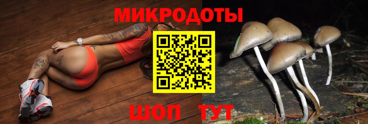 купить наркотик  Вход с VPN  Рузаевка  Псилоцибиновые грибы MAGIC MUSHROOMS 